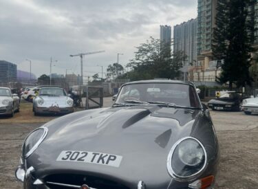 WhatsApp Image 2026-02-02 at 11.47.46