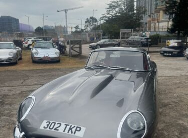 WhatsApp Image 2026-02-02 at 11.47.47