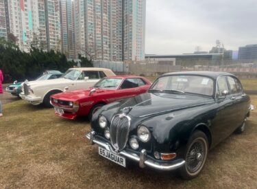 WhatsApp Image 2026-02-02 at 11.53.47 (2)